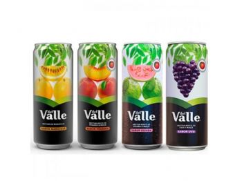 DEL VALLE SABORES LATA